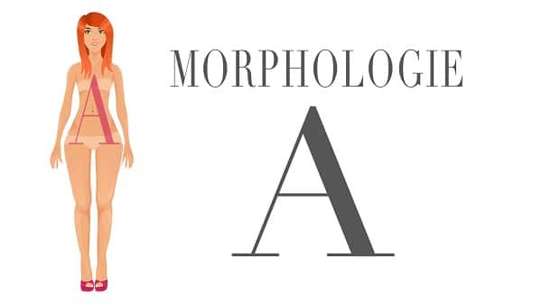 Morphologie-en-A
